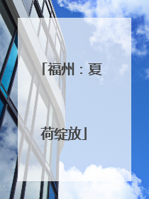 福州：夏荷绽放