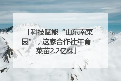 科技赋能“山东南菜园”，这家合作社年育菜苗2.2亿株