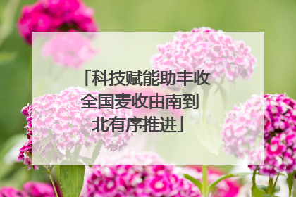 科技赋能助丰收 全国麦收由南到北有序推进