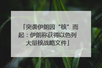 突袭伊朗因“核”而起：伊朗称获得以色列大量核战略文件