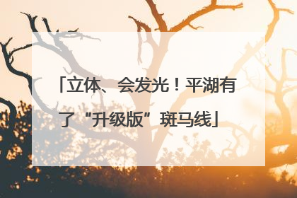 立体、会发光！平湖有了“升级版”斑马线