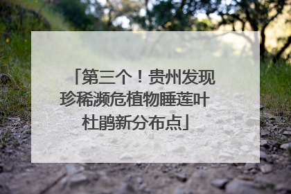 第三个！贵州发现珍稀濒危植物睡莲叶杜鹃新分布点