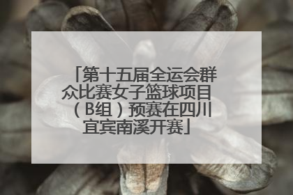 第十五届全运会群众比赛女子篮球项目（B组）预赛在四川宜宾南溪开赛