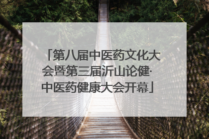 第八届中医药文化大会暨第三届沂山论健·中医药健康大会开幕