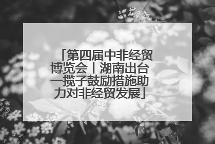 第四届中非经贸博览会丨湖南出台一揽子鼓励措施助力对非经贸发展