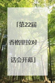 第22届香格里拉对话会开幕