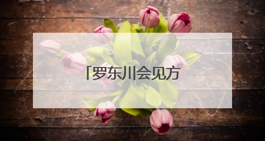 罗东川会见方大集团董事局主席方威一行