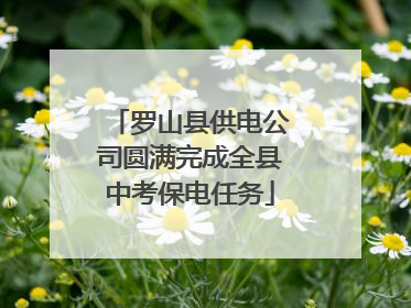 罗山县供电公司圆满完成全县中考保电任务
