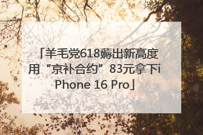 羊毛党618薅出新高度 用“京补合约”83元拿下iPhone 16 Pro