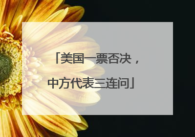 美国一票否决，中方代表三连问