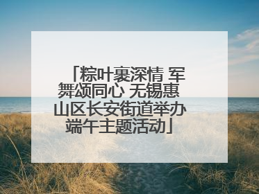 粽叶裹深情 军舞颂同心 无锡惠山区长安街道举办端午主题活动