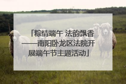 粽情端午 法韵飘香——南阳卧龙区法院开展端午节主题活动