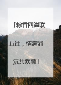 粽香四溢联五社，情满浦沅共欢颜