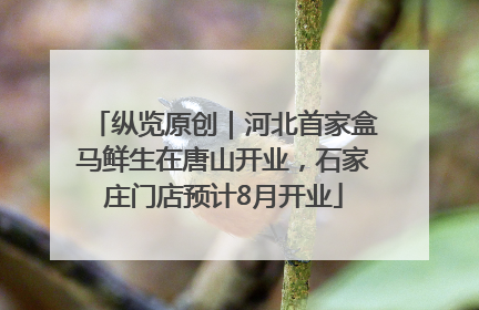 纵览原创｜河北首家盒马鲜生在唐山开业，石家庄门店预计8月开业