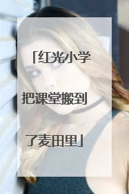 红光小学把课堂搬到了麦田里