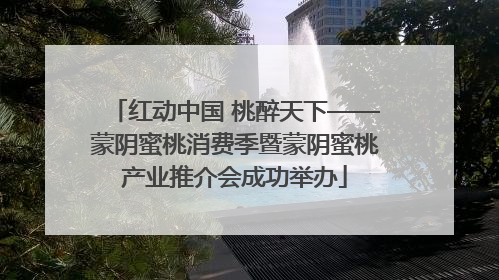 红动中国 桃醉天下——蒙阴蜜桃消费季暨蒙阴蜜桃产业推介会成功举办