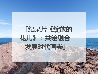 纪录片《绽放的花儿》：共绘融合发展时代画卷