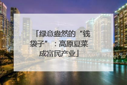 绿意盎然的“钱袋子”：高原夏菜成富民产业