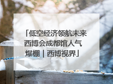 低空经济领航未来 西博会成都馆人气爆棚｜西博视界