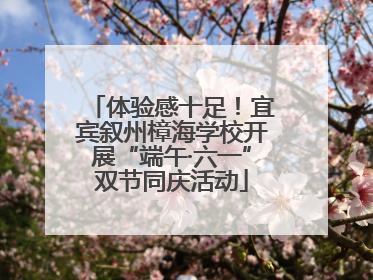 体验感十足！宜宾叙州樟海学校开展“端午·六一”双节同庆活动