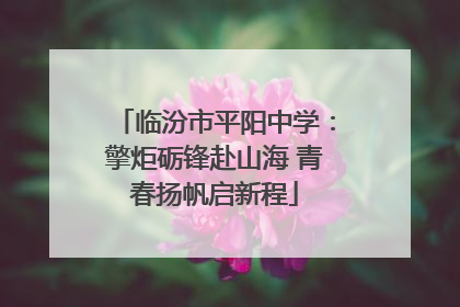 临汾市平阳中学：擎炬砺锋赴山海 青春扬帆启新程