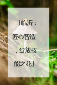 临沂：匠心智造，绽放技能之花