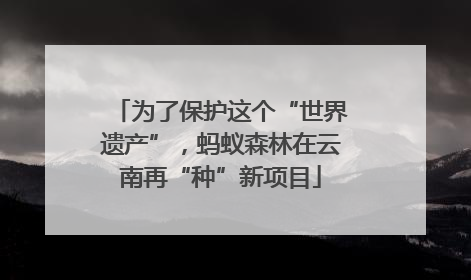 为了保护这个“世界遗产”，蚂蚁森林在云南再“种”新项目