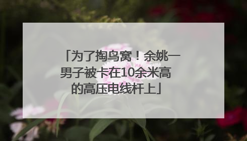 为了掏鸟窝！余姚一男子被卡在10余米高的高压电线杆上