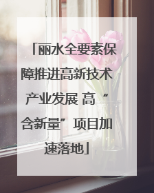 丽水全要素保障推进高新技术产业发展 高“含新量”项目加速落地