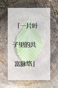 一片叶子里的共富脉络