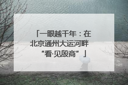 一眼越千年：在北京通州大运河畔“看·见殷商”
