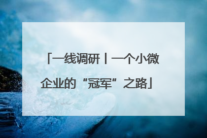 一线调研丨一个小微企业的“冠军”之路