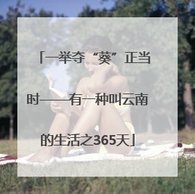 一举夺“葵”正当时——有一种叫云南的生活之365天