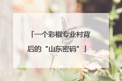 一个彩椒专业村背后的“山东密码”