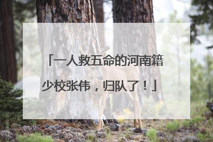 一人救五命的河南籍少校张伟，归队了！