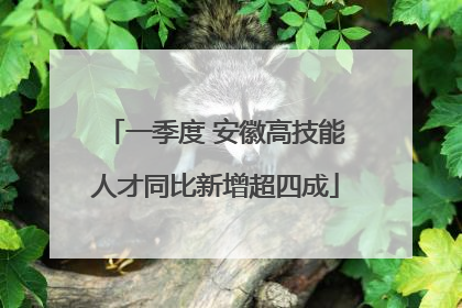 一季度 安徽高技能人才同比新增超四成
