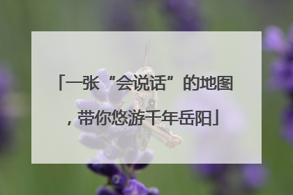 一张“会说话”的地图，带你悠游千年岳阳