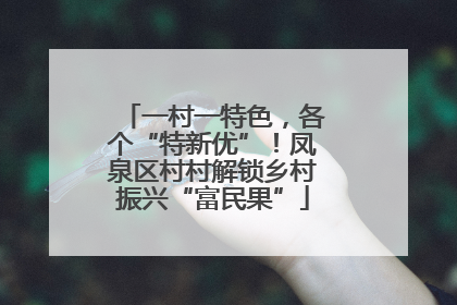 一村一特色，各个“特新优”！凤泉区村村解锁乡村振兴“富民果”