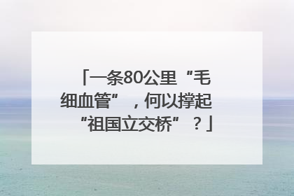一条80公里“毛细血管”，何以撑起“祖国立交桥”？