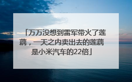 万万没想到雷军带火了莲藕，一天之内卖出去的莲藕是小米汽车的22倍