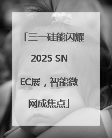 三一硅能闪耀2025 SNEC展，智能微网成焦点