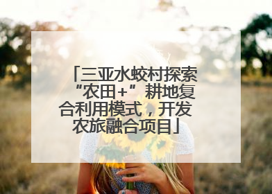三亚水蛟村探索“农田+”耕地复合利用模式，开发农旅融合项目