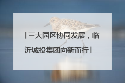 三大园区协同发展，临沂城投集团向新而行