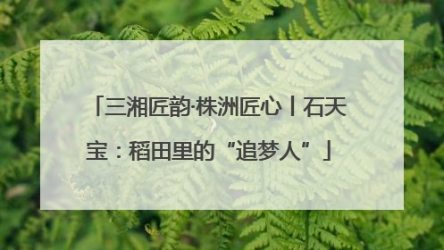 三湘匠韵·株洲匠心丨石天宝：稻田里的“追梦人”
