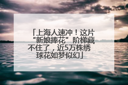 上海人速冲！这片“新娘捧花”阶梯藏不住了，近5万株绣球花如梦似幻