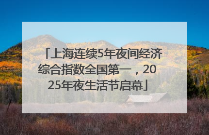 上海连续5年夜间经济综合指数全国第一，2025年夜生活节启幕