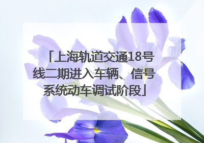 上海轨道交通18号线二期进入车辆、信号系统动车调试阶段