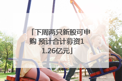下周两只新股可申购 预计合计募资11.26亿元