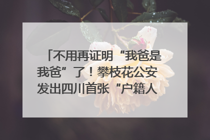 不用再证明“我爸是我爸”了！攀枝花公安发出四川首张“户籍人口直系亲属关系谱”