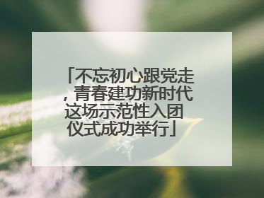 不忘初心跟党走，青春建功新时代 这场示范性入团仪式成功举行